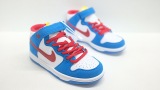 Kids SB Dunk Shoes
