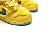 Kids SB Dunk Shoes