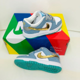 Kids SB Dunk Shoes