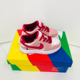 Kids SB Dunk Shoes