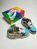 Kids SB Dunk Shoes