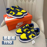 Kids SB Dunk Shoes