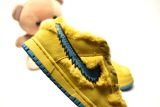 Kids SB Dunk Shoes