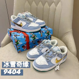 Kids SB Dunk Shoes