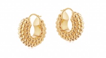  Earrings005