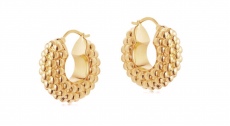  Earrings005