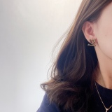  Earrings006