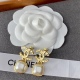  Earrings004