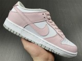 N*ike Dunk Low  DD1873-100