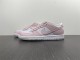 N*ike Dunk Low  DD1873-100