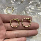  Earrings002