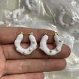  Earrings003