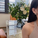 Earrings004