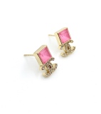 Earrings007