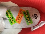 N*ike Dunk Low CT2496-100