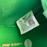 N*ike SB Dunk Low