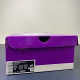 N*ike SB Dunk Low