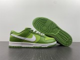 N*IKE DUNK LOW DJ6188-300