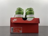 N*IKE DUNK LOW DJ6188-300