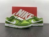 N*IKE DUNK LOW DJ6188-300