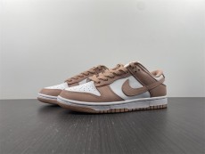 N*IKE DUNK LOW DD1503-118