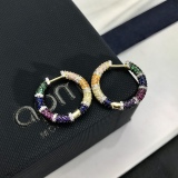 Earrings001
