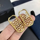 Earrings002