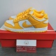 N*ike Dunk SB Low