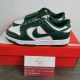 N*IKE DUNK LOW