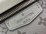 L*ouis V*uitton Bag Top Quality  21*17*5cm