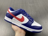N*IKE DUNK LOW DD1503-119