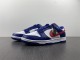 N*IKE DUNK LOW DD1503-119