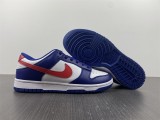 N*IKE DUNK LOW DD1503-119