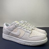 N*ike SB Dunk Low DD8338-001