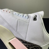 Air Jordan 3 NEAPOLITAN
