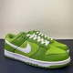 N*ike SB Dunk Low DJ6188 300