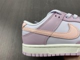 N*ike dunk SB Low DD1503-001