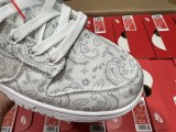 N*ike Dunk Low DJ9955-100