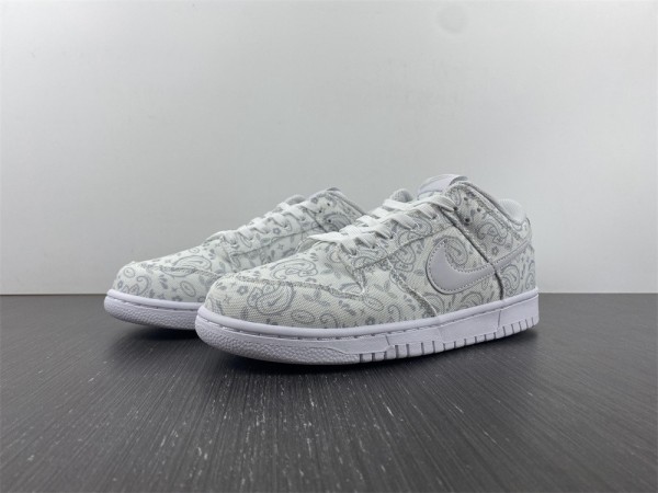 N*ike Dunk Low DJ9955-100