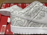 N*ike Dunk Low DJ9955-100