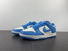 N*IKE DUNK LOW HUOHGA DD1503-100