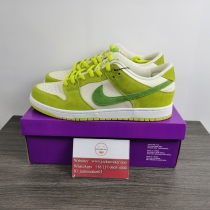 N*IKE DUNK LOW DM0807-300