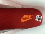 N*IKE DUNK LOW RETRO DD1391-600