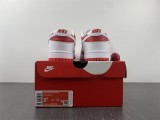 N*IKE DUNK LOW RETRO DD1391-600