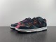 N*ike Dunk Low Retro PRM DM0108-002