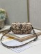 D*ior Bag Top Quality  21*5*12CM