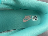 N*ike Dunk Low Snake Skin  DR8577-300