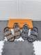 Kids Top Quality Sneakers