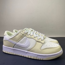 N*ike SB Dunk Low DJ6188 100