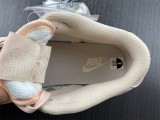 N*ike SB Dunk Low DD1503-102